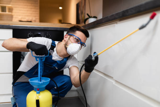 Best Mosquito Control Services  in Verona, VA